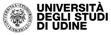 Università degli studi di Udine - CIP